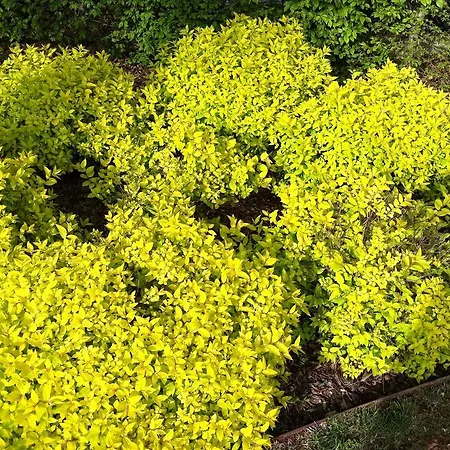 Relais Annamaria Bed End Breakfast Bed & Breakfast