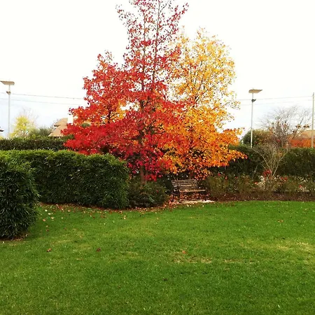 Bed & Breakfast Relais Annamaria Bed End Breakfast Istrana